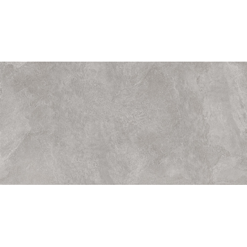 Про Стоун серый 60x119,5 керамический гранит матовый DD500220R - картинка 1