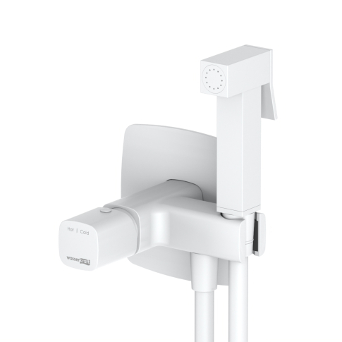 Saale 9538 Встраиваемый смеситель для душа с гигиенической лейкой - картинка 1