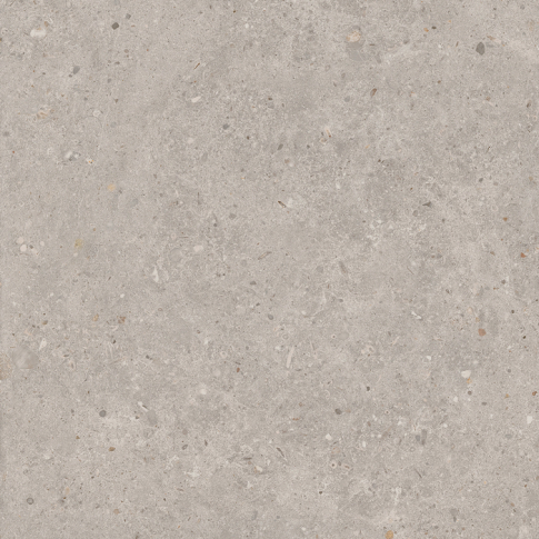 Риккарди серый светлый 60x60 керамический гранит матовый SG653720R - картинка 1