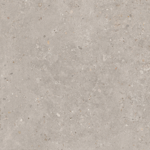 Риккарди серый светлый 60x60 керамический гранит матовый SG653720R - картинка 4