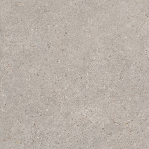 Риккарди серый светлый 60x60 керамический гранит матовый SG653720R - картинка 6