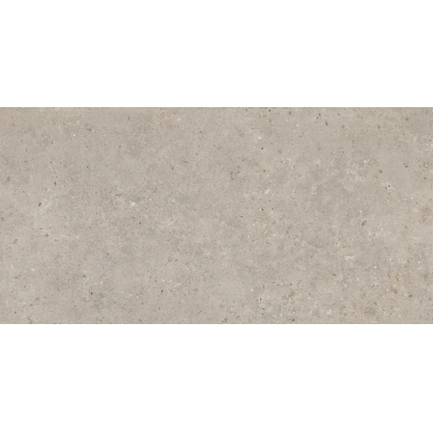 Риккарди бежевый 60x119,5 керамический гранит матовый SG540620R - картинка 1