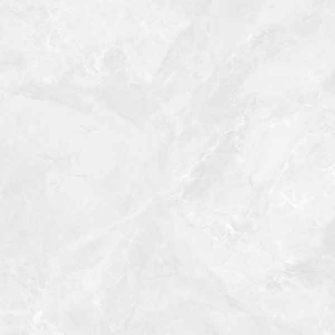 Regnum Bianco серый светлый 60x60 керамический гранит матовый CR6060G0391R8 - картинка 1