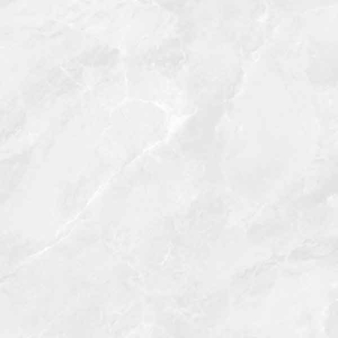 Regnum Bianco серый светлый 60x60 керамический гранит матовый CR6060G0391R8 - картинка 5