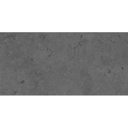 Про Лаймстоун серый темный 60x119,5 керамический гранит матовый DD506220R - картинка 1