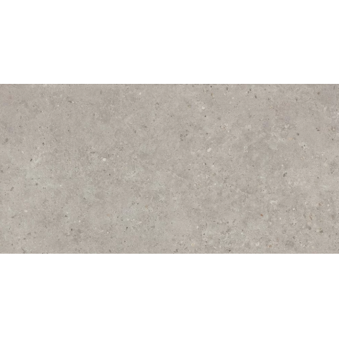Риккарди серый светлый 60x119,5 керамический гранит матовый SG519920R - картинка 1
