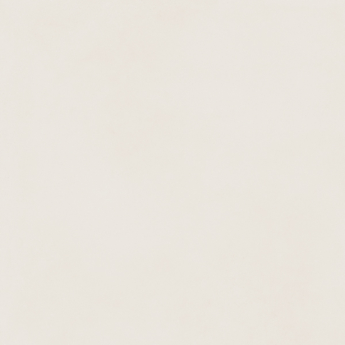 Форум Слим Полар 120x120 керамический гранит натуральный 610010004196 - картинка 1