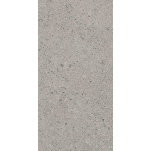 Чеппо ди Гре серый 119,5x238,5 керамический гранит матовый DD591400R - картинка 6