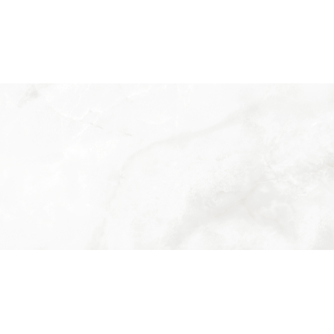 Bernini Bianco белый 60x119,5 керамический гранит матовый глянцевые чернила LP6012G0541R - картинка 11