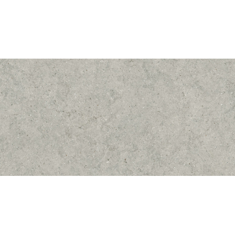 Форум Стоун Сильвер 60x120 керамический гранит натуральный 610010004168 - картинка 1