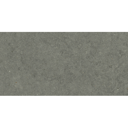 Форум Стоун Айрон 60x120 керамический гранит натуральный 610010004169 - картинка 1