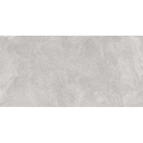 Про Стоун серый светлый 60x119,5 керамический гранит матовый DD503820R - картинка 1