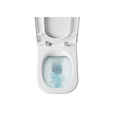 Унитаз напольный The Gap (без бачка) - картинка 8