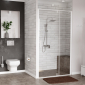 Neime 19P04 Душевая дверь - превью 2