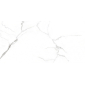 Pristine White 60х120 керамогранит матовый - превью 10