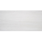 P.E. Ponient Pearl 59,5x120 керамический гранит матовый - превью 1