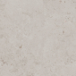 Про Лаймстоун серый светлый 60x60 керамический гранит матовый DD641020R - превью 15