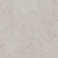 Про Лаймстоун серый светлый 60x60 керамический гранит матовый DD641020R - превью 13