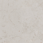 Про Лаймстоун серый светлый 60x60 керамический гранит матовый DD641020R - превью 11