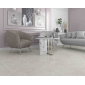 Scandy серый светлый 60x60 керамический гранит матовый SG645120R - превью 2