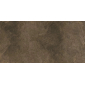 Про Стоун коричневый 60x119,5 керамический гранит матовый DD503920R - превью 1