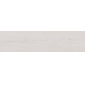 Вяз белый 9,9x40,2 керамический гранит матовый SG400900N - превью 5