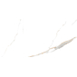 Golden White Statuario 60х120 керамогранит полированный - превью 10