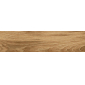Polo Brandy бежевый 20x80 керамический гранит матовый K952687R0001LPET - превью 1