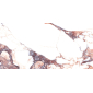 Калакатта виола 60x119,5 плитка глянцевый LP6012B0160R - превью 11