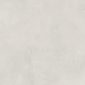 Evolution Bianco белый 60x60 керамический гранит матовый карвинг SG602520R - превью 10