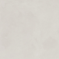 Evolution Bianco белый 60x60 керамический гранит матовый карвинг SG602520R - превью 12