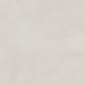 Evolution Bianco белый 60x60 керамический гранит матовый карвинг SG602520R - превью 14