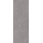 Базальт серый темный 119,5x320 керамический гранит матовый SG077100R - превью 2