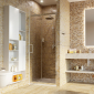 Salm 27I27 Душевая дверь - превью 3