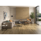 G. RLV. Haru Tan 60x120 керамический гранит матовый структурный - превью 3