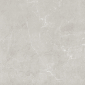 Scandy серый светлый 60x60 керамический гранит матовый SG645120R - превью 1