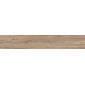 Сальветти капучино 20x119,5 керамический гранит матовый SG514820R - превью 1